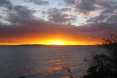 New Zealand